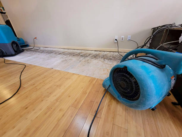 Professional Flood Damage Cleanup technician working in Gulf Breeze, FL